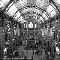 Buy canvas prints of Natural History Museum by Graham Custance