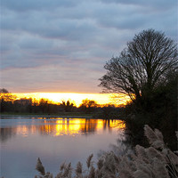 Buy canvas prints of Tring Reservoir Sunset by Graham Custance