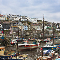 Buy canvas prints of Mevagissey Harbour by Graham Custance