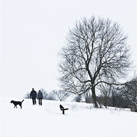 Buy canvas prints of A walk in the snow by Graham Custance