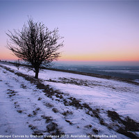 Buy canvas prints of Winter Wonderland by Graham Custance