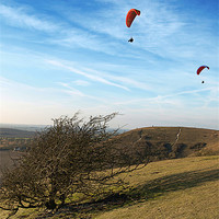 Buy canvas prints of Hang gliding at the Downs by Graham Custance
