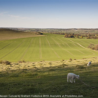 Buy canvas prints of English Countryside by Graham Custance