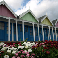 Buy canvas prints of Beach Huts by Graham Custance