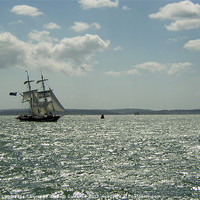 Buy canvas prints of Sailing on the Solent by Graham Custance