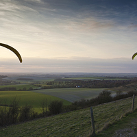 Buy canvas prints of Hang Gliding by Graham Custance