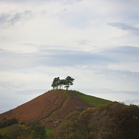 Buy canvas prints of  Colmer Hill by Graham Custance