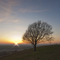 Buy canvas prints of  Chilterns Sunset by Graham Custance