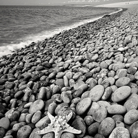 Buy canvas prints of  Chesil Beach by Graham Custance