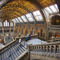 Buy canvas prints of  Natural History Museum by Graham Custance