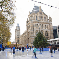 Buy canvas prints of  Ice Skating at the Museum by Graham Custance