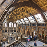 Buy canvas prints of  Natural History Museum by Graham Custance