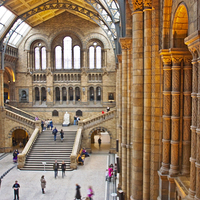 Buy canvas prints of   Natural History Museum by Graham Custance