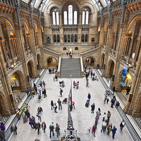 Buy canvas prints of Natural History Museum  by Graham Custance