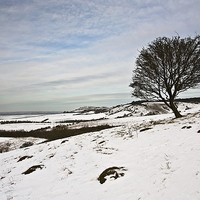 Buy canvas prints of Winter in the Chilterns  by Graham Custance