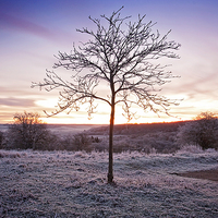 Buy canvas prints of  Chilterns Sunrise by Graham Custance