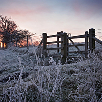 Buy canvas prints of Winter Sunrise  by Graham Custance