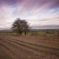 Buy canvas prints of The Chilterns  by Graham Custance