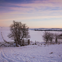 Buy canvas prints of  Winter in the Chilterns by Graham Custance