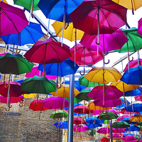 Buy canvas prints of Umbrellas in Vinopolis Piazza by Graham Custance