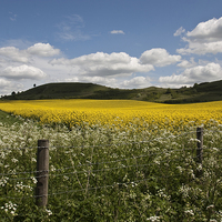 Buy canvas prints of  Ivinghoe Beacon by Graham Custance