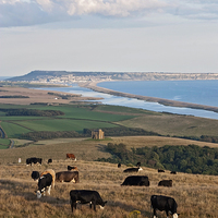 Buy canvas prints of  Chesil Beach by Graham Custance
