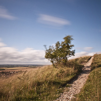Buy canvas prints of  Dunstable Downs by Graham Custance