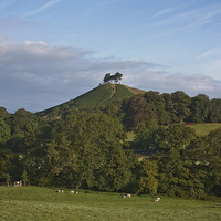 Buy canvas prints of Colmer Hill by Graham Custance