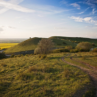 Buy canvas prints of Ivinghoe Beacon by Graham Custance