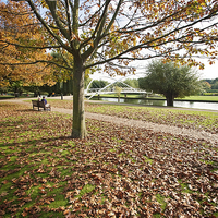 Buy canvas prints of Bedford Embankment in Autumn by Graham Custance