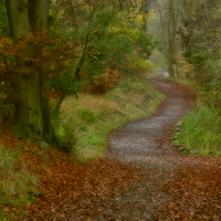 Buy canvas prints of Meandering Path by Graham Custance
