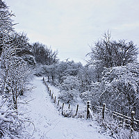 Buy canvas prints of Winter Wonderland by Graham Custance