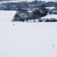 Buy canvas prints of A Walk in the Snow by Graham Custance