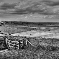 Buy canvas prints of Ivinghoe Beacon by Graham Custance