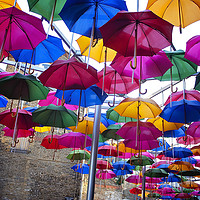Buy canvas prints of Umbrellas by Graham Custance