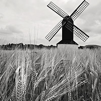 Buy canvas prints of Windmill and Barley by Graham Custance