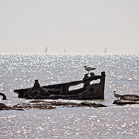 Buy canvas prints of Compton Bay Shipwreck by Graham Custance