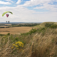 Buy canvas prints of Dunstable Downs Paragliding by Graham Custance