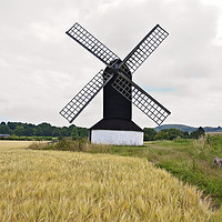 Buy canvas prints of Dog and Windmill by Graham Custance