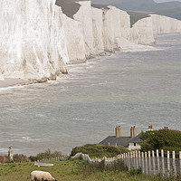 Buy canvas prints of Seven Sisters & Fishermans Cottages by Graham Custance