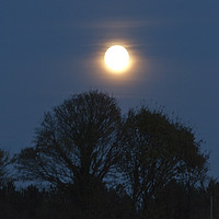 Buy canvas prints of Super Moon by Graham Custance