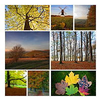 Buy canvas prints of Chilterns in Autumn by Graham Custance