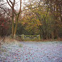 Buy canvas prints of Winter Sunrise in the Chilterns by Graham Custance