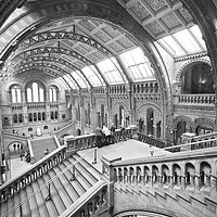 Buy canvas prints of Natural History Museum, London by Graham Custance