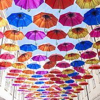 Buy canvas prints of Bath Umbrellas by Graham Custance