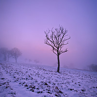 Buy canvas prints of Winter Mist by Graham Custance