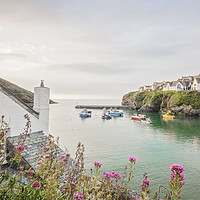 Buy canvas prints of Port Isaac by Graham Custance