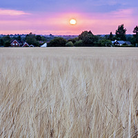 Buy canvas prints of Chilterns Sunset by Graham Custance