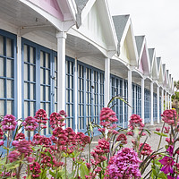 Buy canvas prints of Greenhill Gardens, Weymouth by Graham Custance