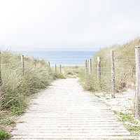Buy canvas prints of Beach Path by Graham Custance